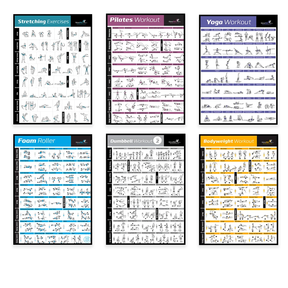 Body Exercise Training Chart W - Home Gym Decor 评论和价格