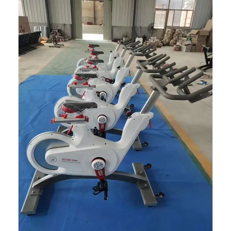 Professional Magnetic Resistan - Home Gym Resistance 评论和价格