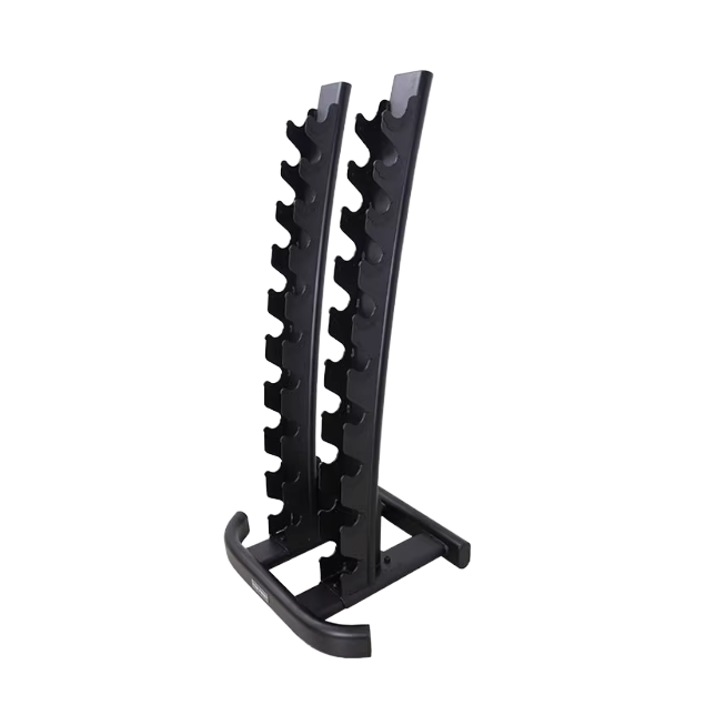 2026 Gym Dumbbell Rack Bench T - Home Gym Weight Bench 评论和价格